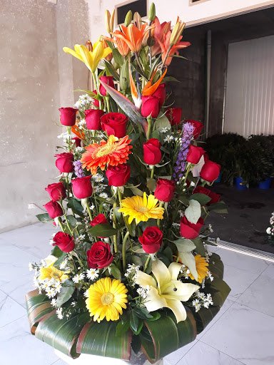 D'Mary Florería florería en  en la zona Centro