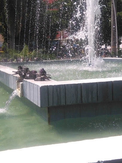 Fuente De Agua, Parque Bolivar