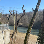 Photo n°9 de l'avis de M. fait le 17/02/2023 à 17:50 sur le  Ristorante Da Brega à Fontanelice