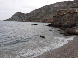 Playa Ensenada de la Fuente'in fotoğrafı vahşi alan