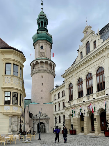 Értékelések erről a helyről: Fehér Angyal Patikamúzeum, Sopron - Múzeum