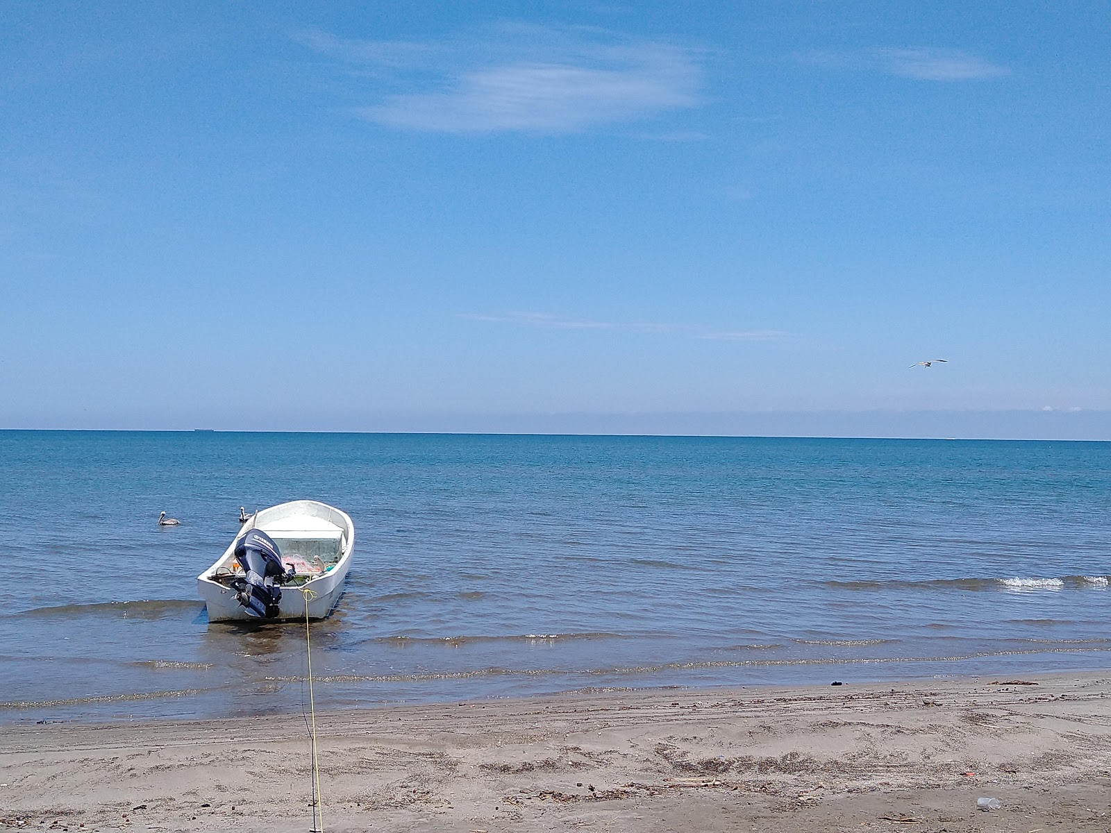 Fotografija Playa Anton Lizardo udobje območja