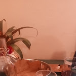 Photo n°1 de l'avis de Roberto.a fait le 31/03/2024 à 17:12 sur le  Osteria La Pace Volterra à Volterra