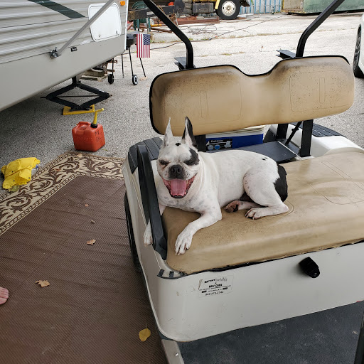 Grocery Store «Schnucks», reviews and photos, 3100 Madison Ave, Granite City, IL 62040, USA