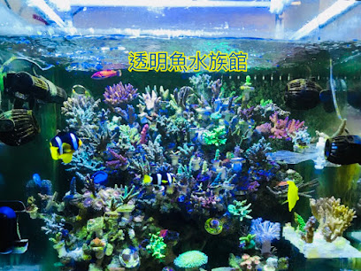 透明魚水族館-專業魚缸清洗清潔保養訂作造景設計水族工程