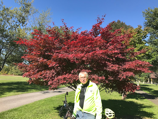 Thrift Store «Savers», reviews and photos