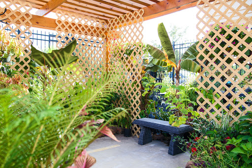 Hardware Store «Lone Star ACE», reviews and photos, 2111 Rayford Rd, Spring, TX 77386, USA