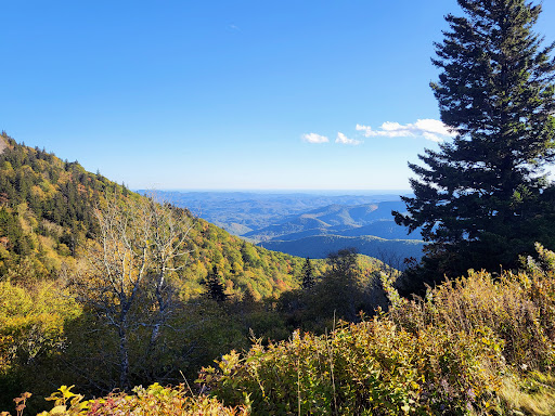 Black Balsam Knob