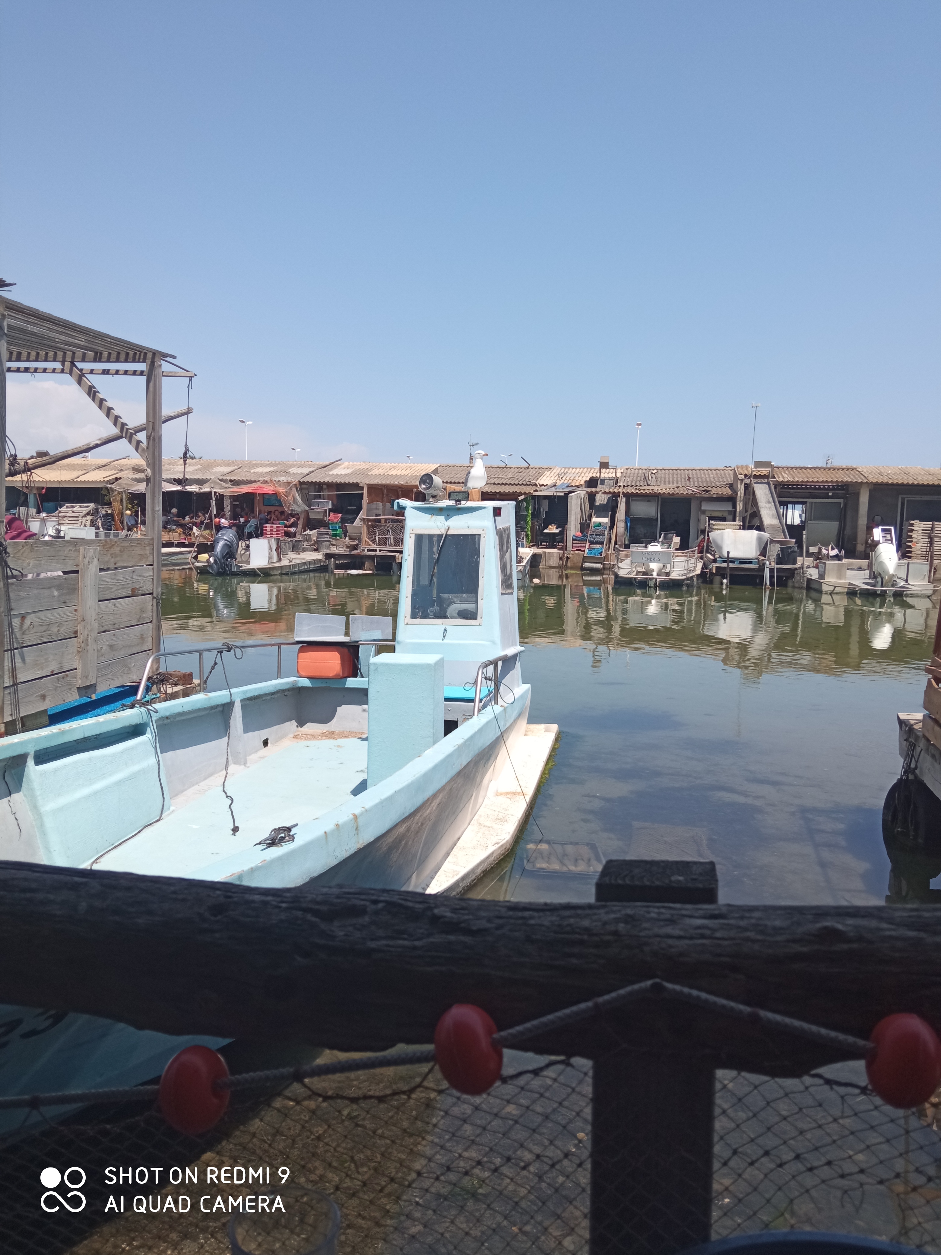 Photo n° 4 de l'avis de Didier.a fait le 29/05/2023 à 16:03