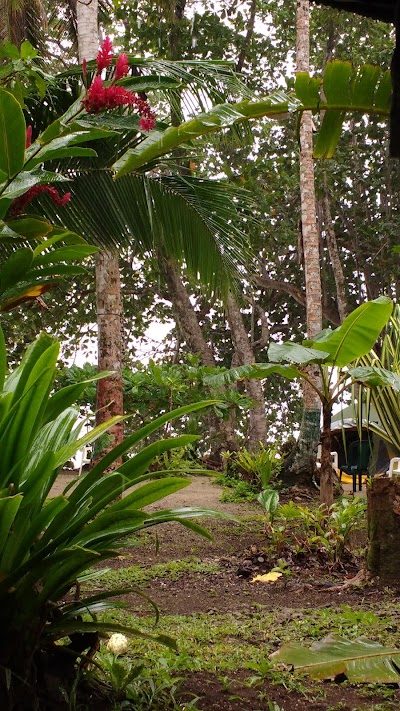Photos of Piscina Natural