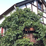 Photo n°4 de l'avis de Michael.n fait le 04/10/2017 à 15:35 sur le  Hofgarten-Restaurant à Dernau