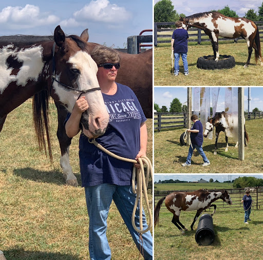 The Mettle of Honor Podcast: Stories of strength, courage, & perseverance