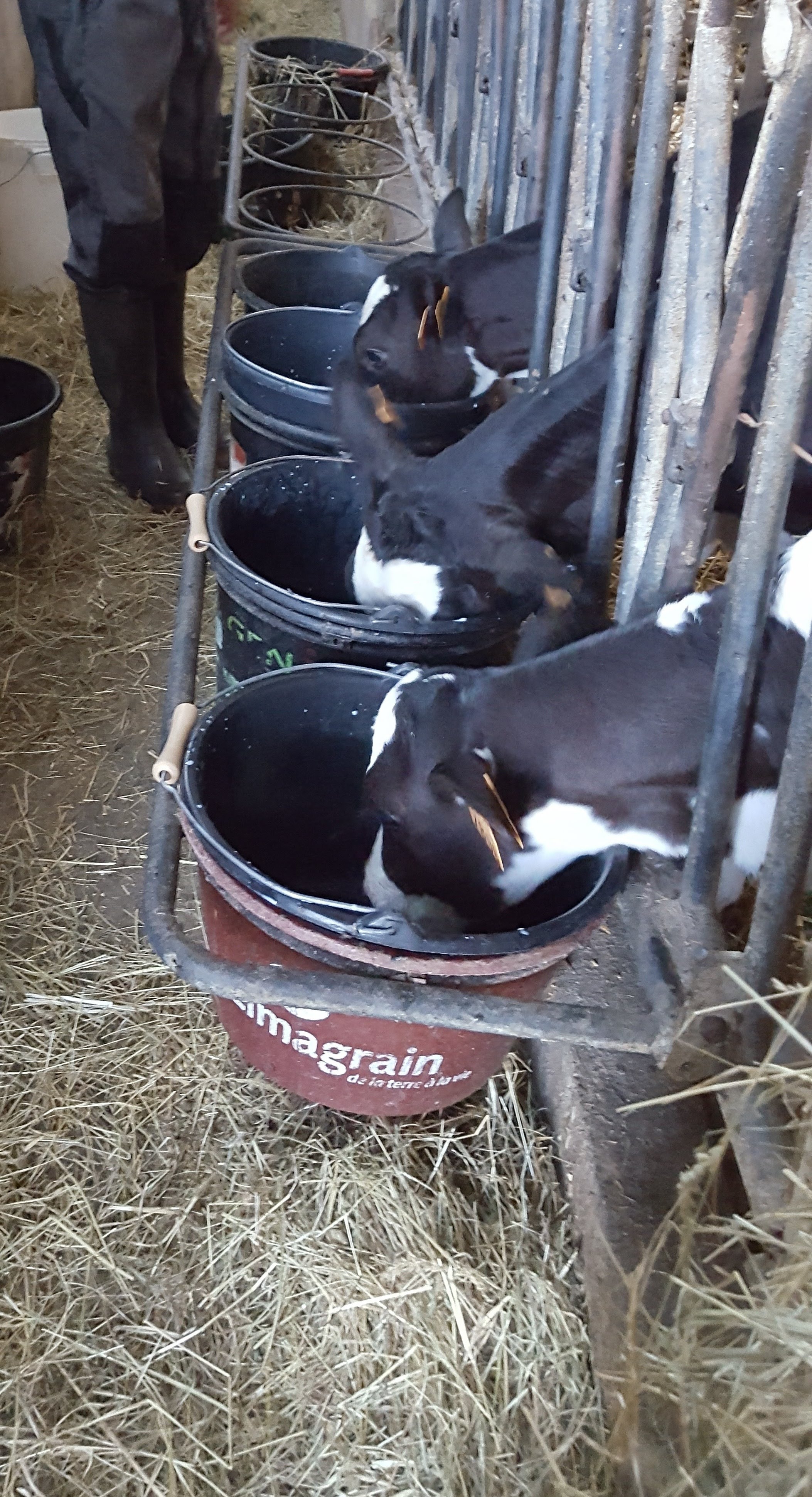 Photo n° 5 de l'avis de Emi.i fait le 25/08/2021 à 16:59