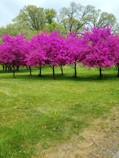 Zoo «Como Park Zoo & Conservatory», reviews and photos, 1225 Estabrook Dr, St Paul, MN 55103, USA