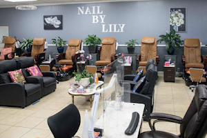 Nail By Lily image