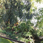 Photo n°1 de l'avis de Paolo. fait le 26/10/2019 à 03:57 sur le  The Gardens Of the Nymphs à Naples