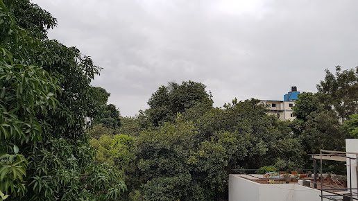 Google Maps image 11