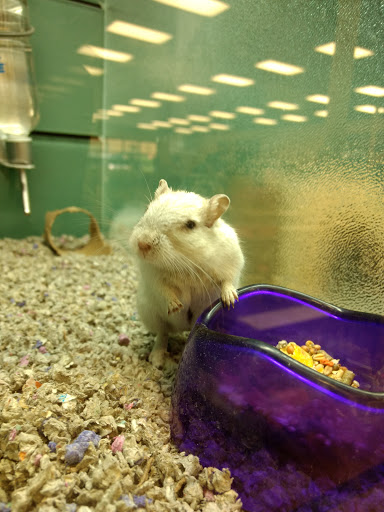 Pet Store «Pet Depot», reviews and photos, 10008 Memorial Pkwy SW, Huntsville, AL 35803, USA