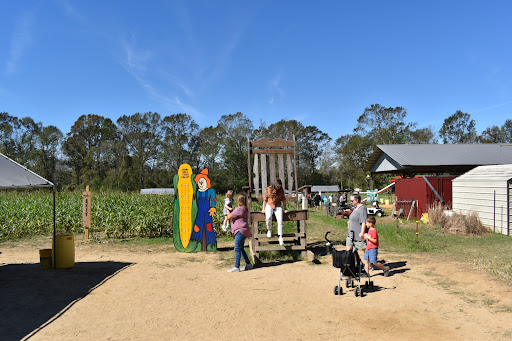 Tourist Attraction «Cajun Country Corn», reviews and photos, 40833 LA-16, Amite City, LA 70422, USA