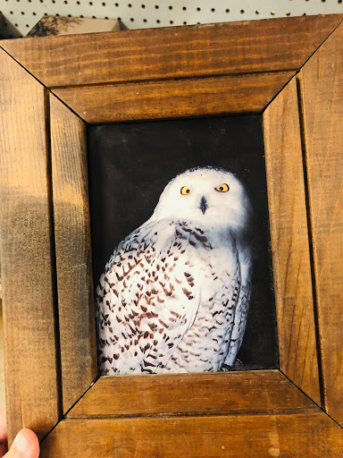 Thrift Store «Goodwill Central Texas - Macfarlane Center & Computer Works», reviews and photos