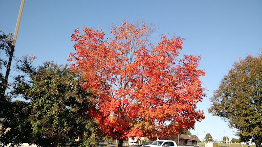 Shopping Mall «Southgate Shopping Center», reviews and photos, 271 Southgate Shopping Center, Culpeper, VA 22701, USA