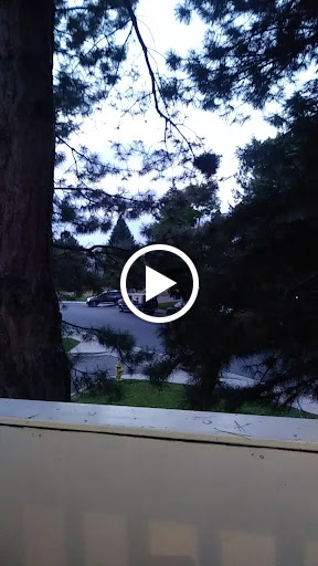 Moving and Storage Service «Able Moving Handyman Svc», reviews and photos, 1532 Galena St #225, Aurora, CO 80010, USA