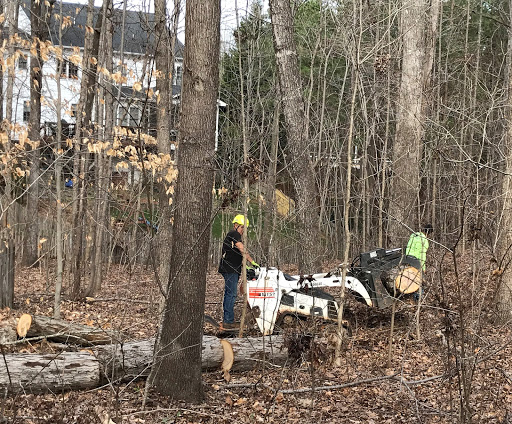 Amigo Tree Service Removal Stump Grinding Cary NC