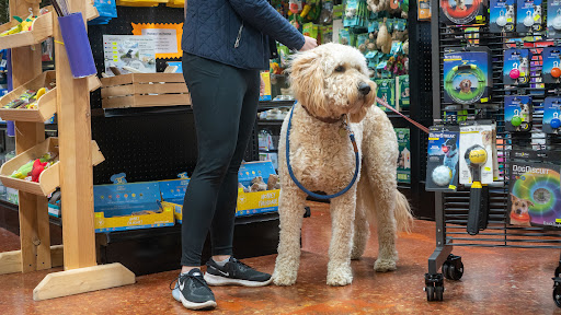 Pet Supply Store «Wags To Wiskers Pet Supplies», reviews and photos, 2423 W Stadium Blvd, Ann Arbor, MI 48103, USA