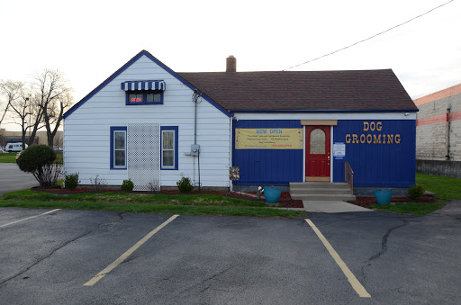 Pet Groomer «Blue Ribbon Dog Grooming LLC Anderson», reviews and photos, 5038 S Scatterfield Rd, Anderson, IN 46013, USA