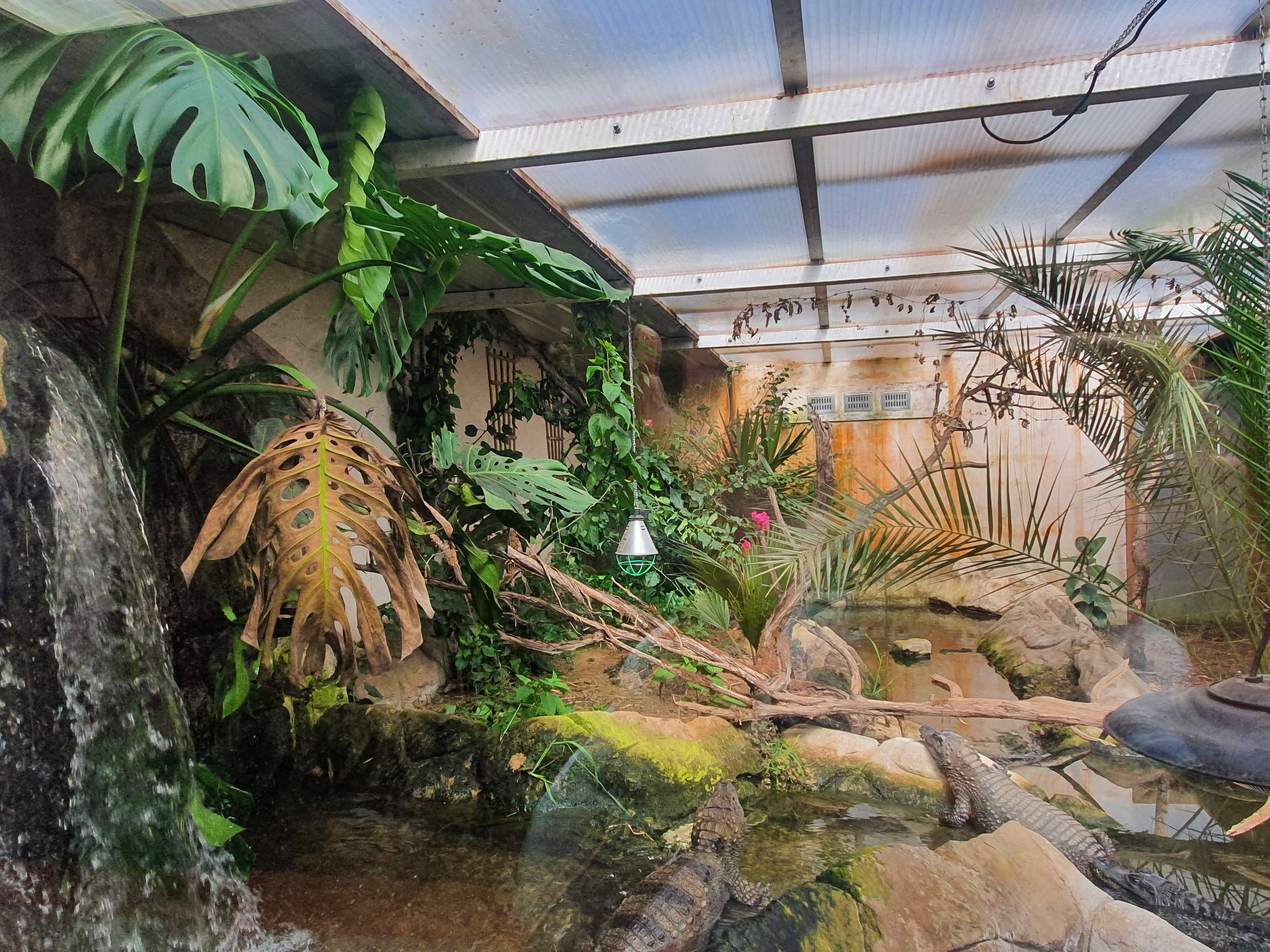 Photo n° 5 de l'avis de Alc. fait le 14/05/2022 à 10:09