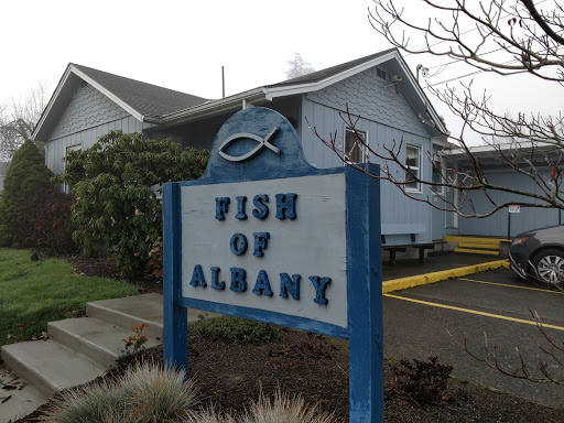Volunteer Organization «Fish of Albany», reviews and photos