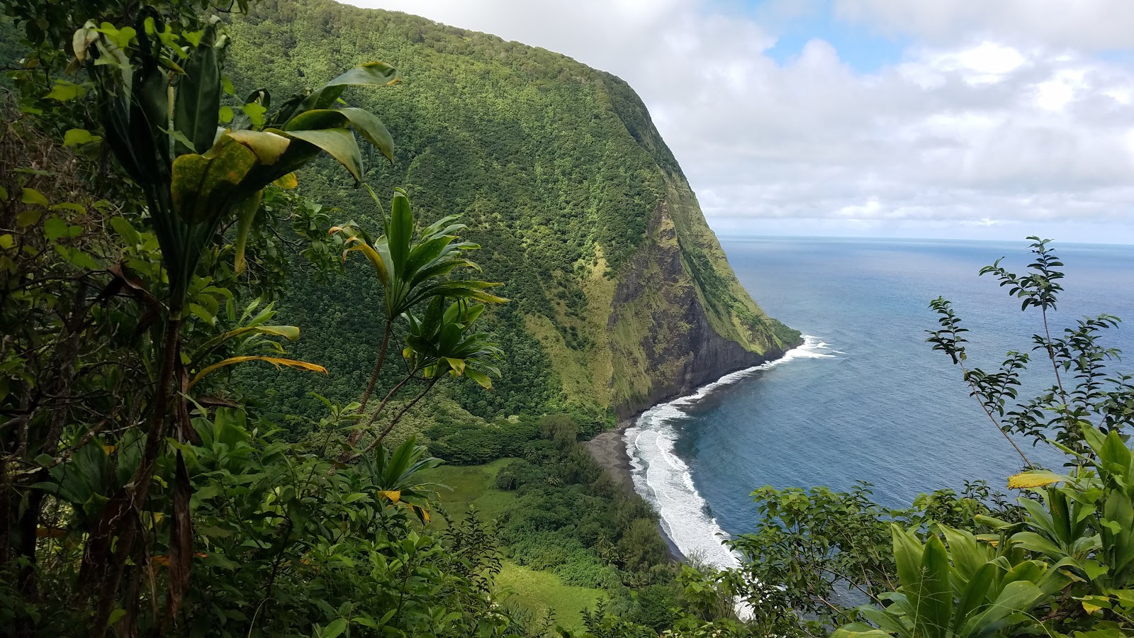 Foto af Waimanu Valley med rummelig kyst