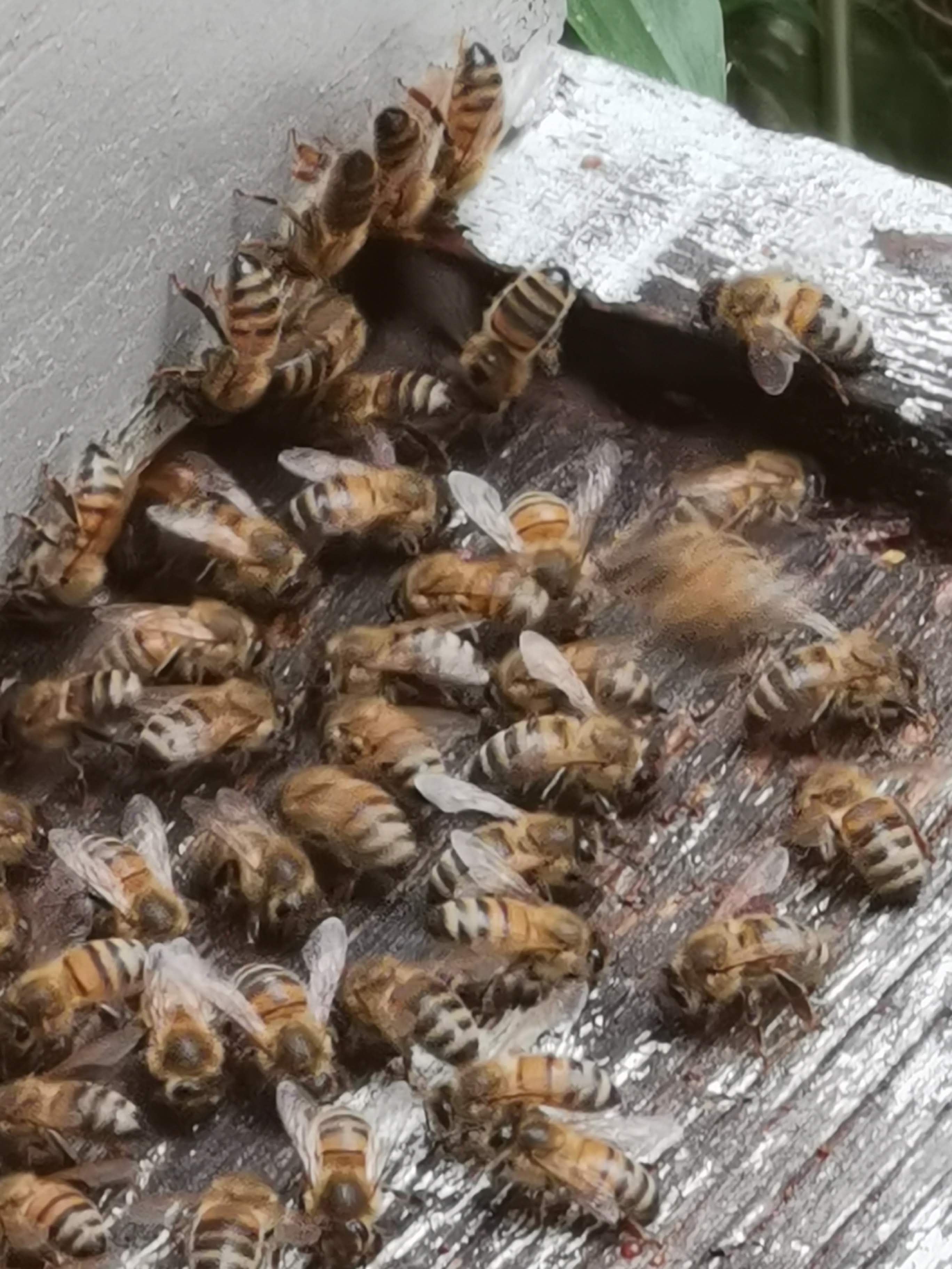 Photo n° 2 de l'avis de Brigitte. fait le 11/08/2019 à 17:23