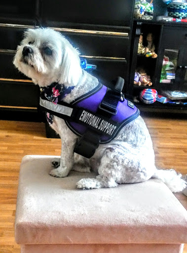 Movie Theater «AMC Starplex Southington 12», reviews and photos, 1821 Meriden-Waterbury Turnpike, Southington, CT 06489, USA