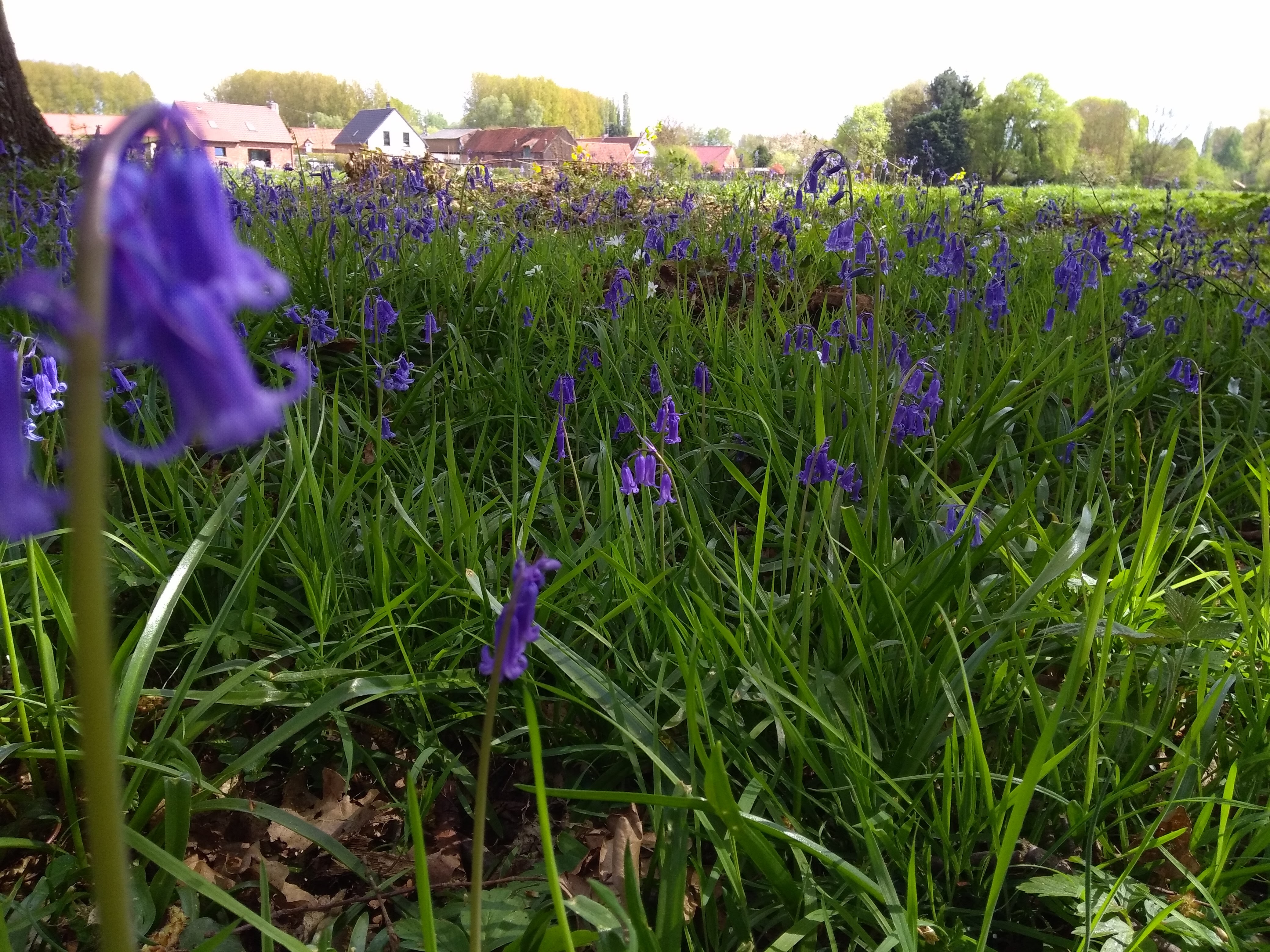 Photo n° 6 de l'avis de Le.� fait le 14/04/2017 à 16:34