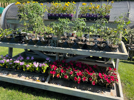 Farm «Beach Plum Farm», reviews and photos, 140 Stevens St, Cape May, NJ 08204, USA