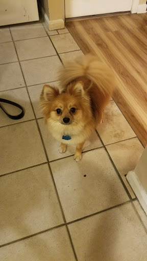 Pet Supply Store «PetSmart», reviews and photos, 11400 Financial Centre Pkwy, Little Rock, AR 72211, USA