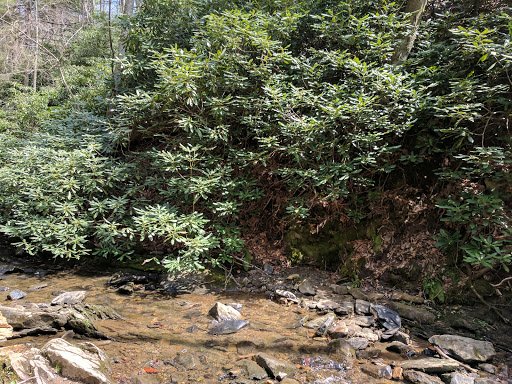 Museum «Blowing Rock Art & History Museum», reviews and photos, 159 Chestnut St, Blowing Rock, NC 28605, USA