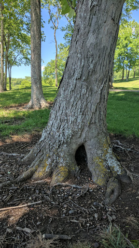 Wedding Venue «Country Hills Golf Club», reviews and photos, 1501 Saundersville Rd, Hendersonville, TN 37075, USA