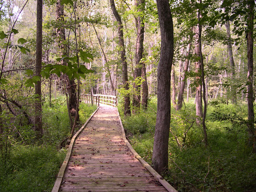 National Forest «Francis Marion National Forest», reviews and photos, 2967 Steed Creek Rd, Huger, SC 29450, USA