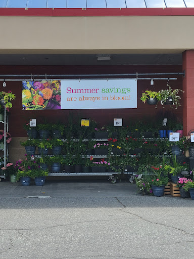 Supermarket «Price Chopper», reviews and photos, VT-15 & Munson Ave, Morrisville, VT 05661, USA