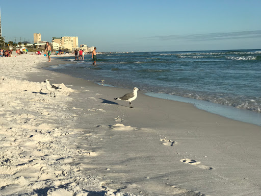 Resort «Seascape Golf, Beach and Tennis Resort», reviews and photos, 556 Seascape Dr, Miramar Beach, FL 32550, USA