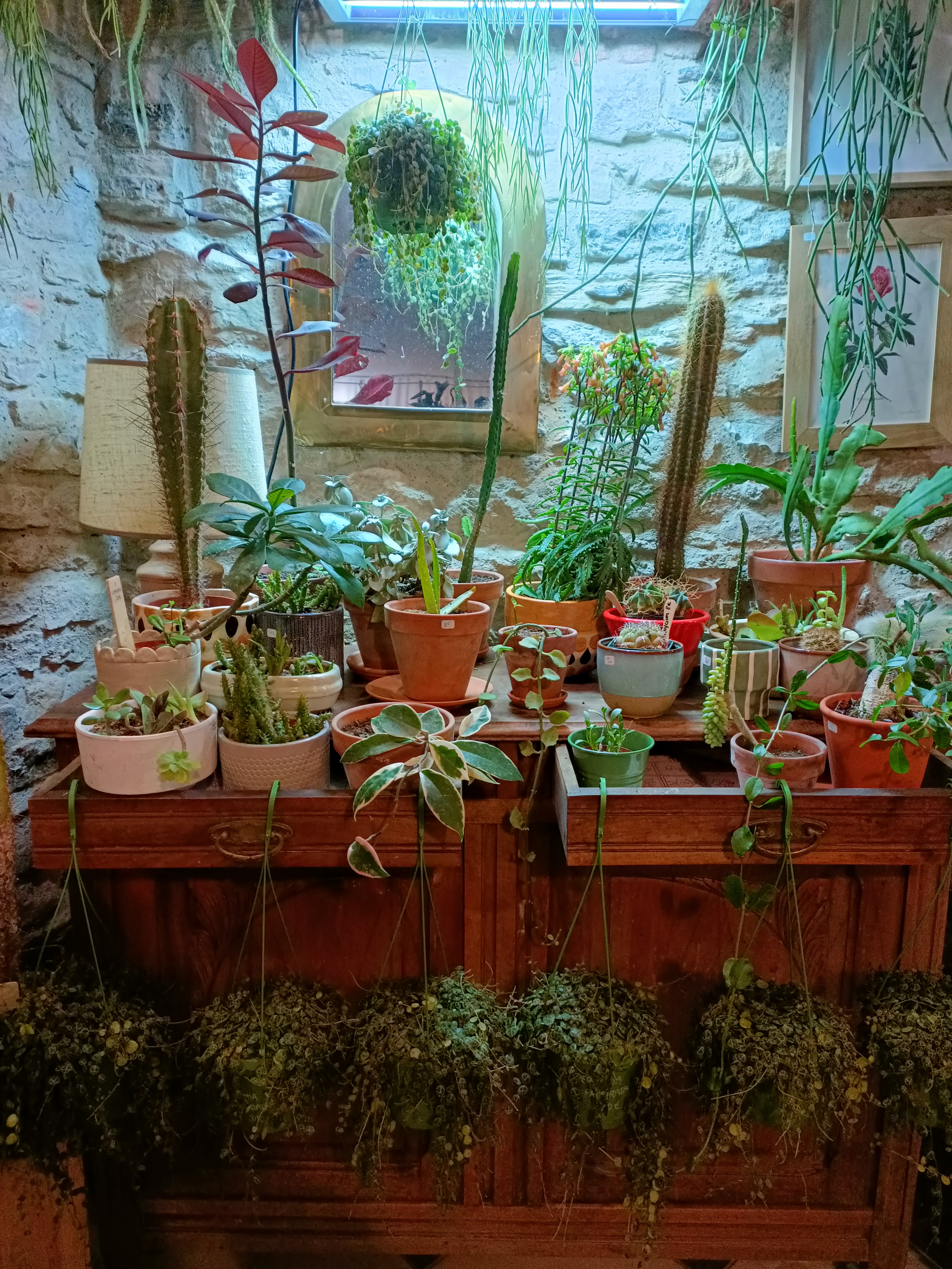 Photo n° 3 de l'avis de Andréa.a fait le 24/02/2023 à 06:18