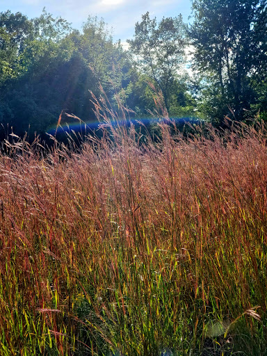 Nature Preserve «Lost Lake Nature Preserve», reviews and photos, Evans Rd, Holly, MI 48442, USA