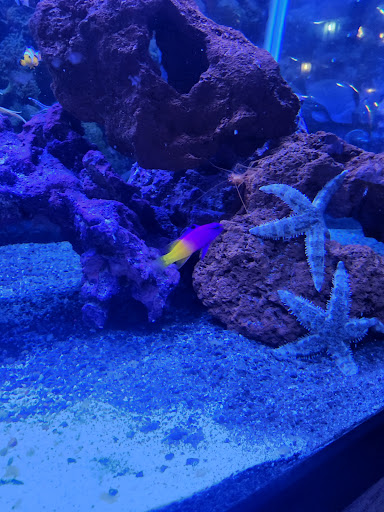 Pet Supply Store «Petco Animal Supplies», reviews and photos, 597 Hebron Rd #2, Heath, OH 43056, USA