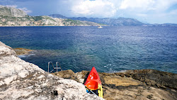 FKK Rocks Lokrum'in fotoğrafı çok temiz temizlik seviyesi ile