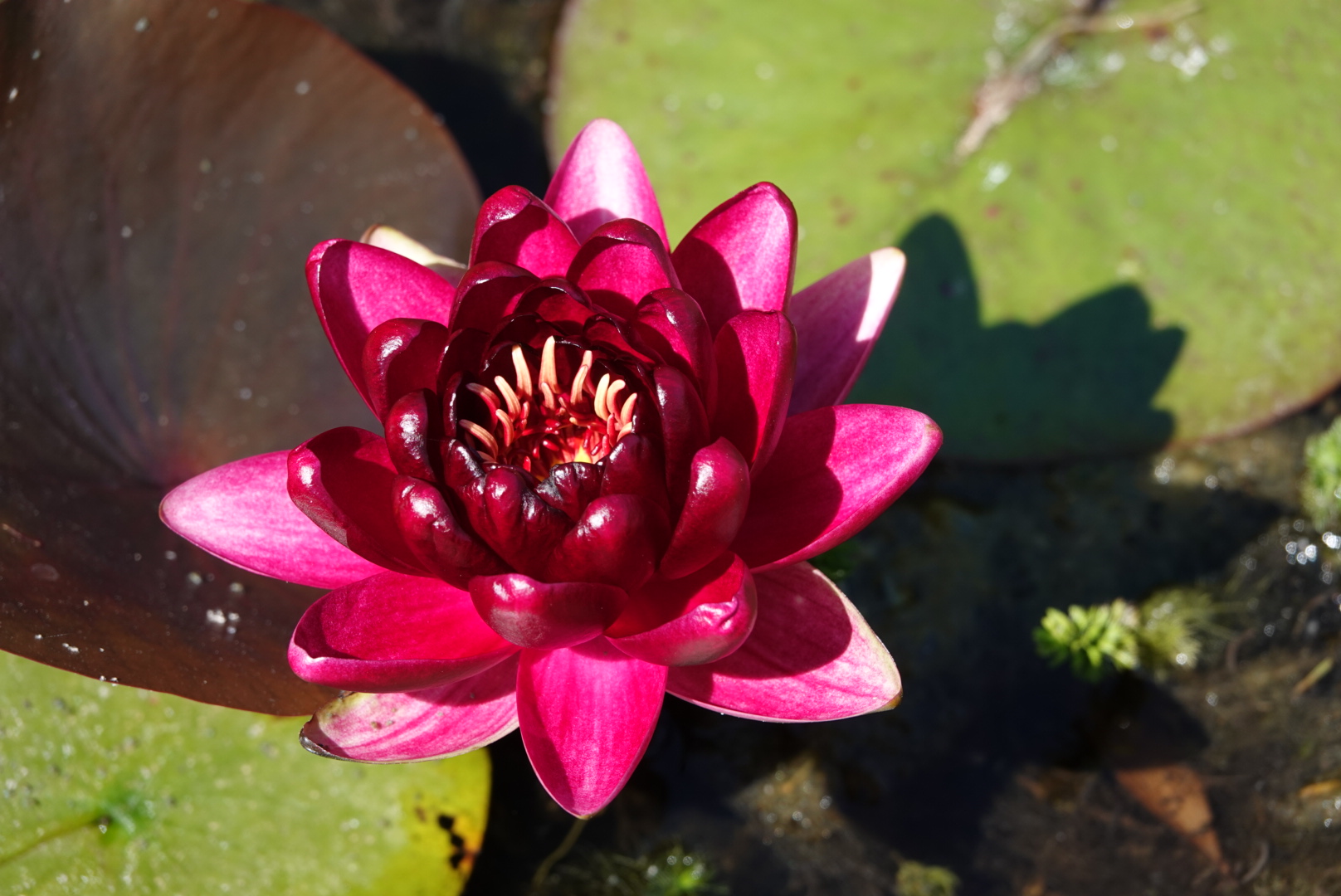 Photo n° 9 de l'avis de Anthony.o fait le 13/06/2021 à 14:25