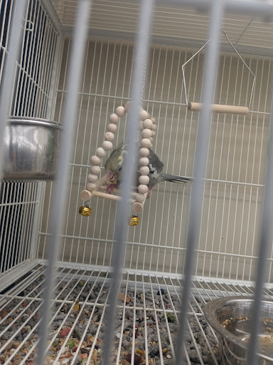 Pet Supply Store «Pet Supplies Plus», reviews and photos, 2410 Augusta Rd, West Columbia, SC 29169, USA