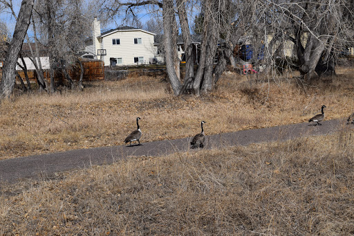 Park «Cherry Park Pavilion», reviews and photos, 11500 Birch Dr, Thornton, CO 80233, USA