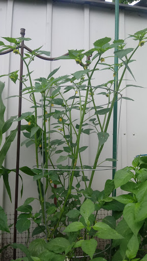 Hardware Store «Limerick Hardware Company», reviews and photos, 712 W Ridge Pike, Limerick, PA 19468, USA